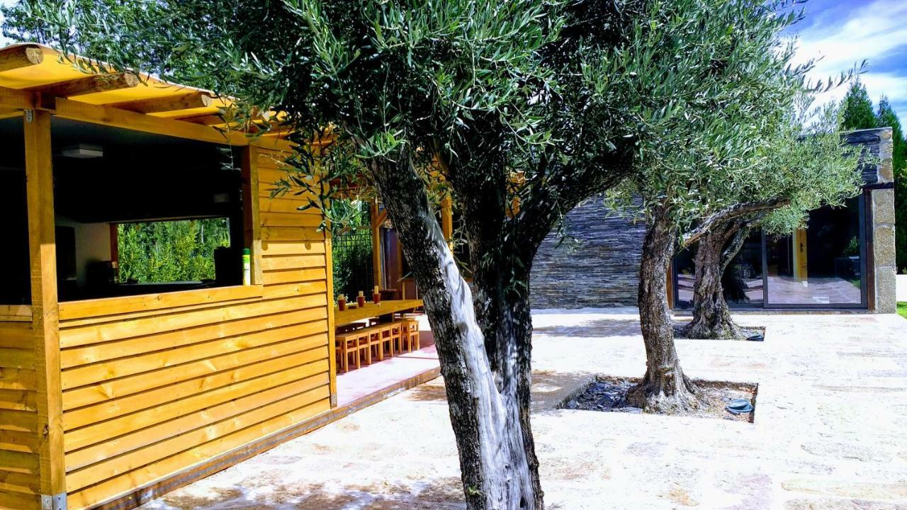 Casa Do Prado Guesthouse Vila Real Extérieur photo